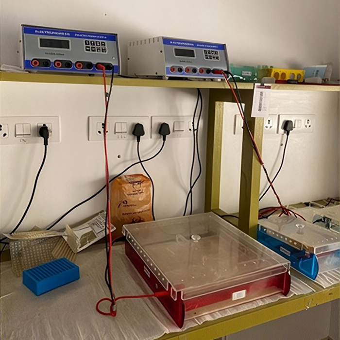 Gel Electrophoresis Unit