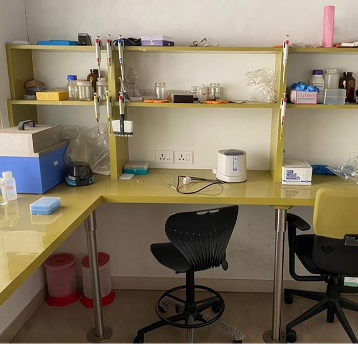 Laboratory Workstation